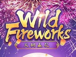 Wild Fireworks screenshot